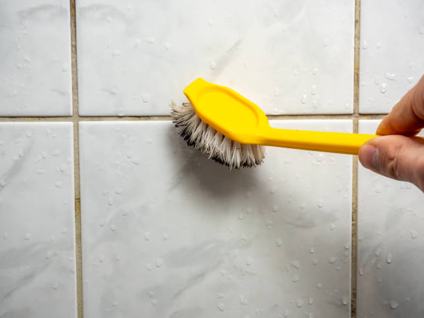 Best Professional Mold Removal  in Richwood, TX