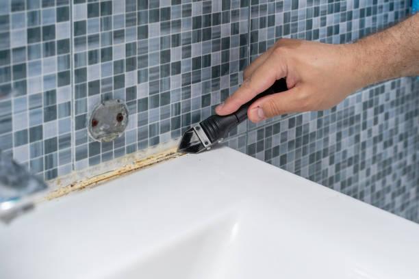Best Mold Testing  in Richwood, TX